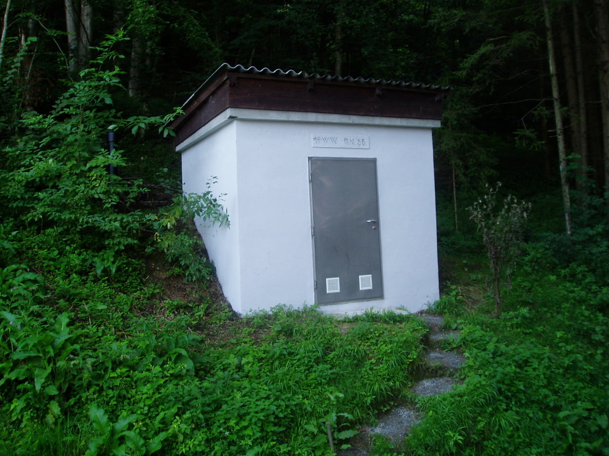 P8070037_1