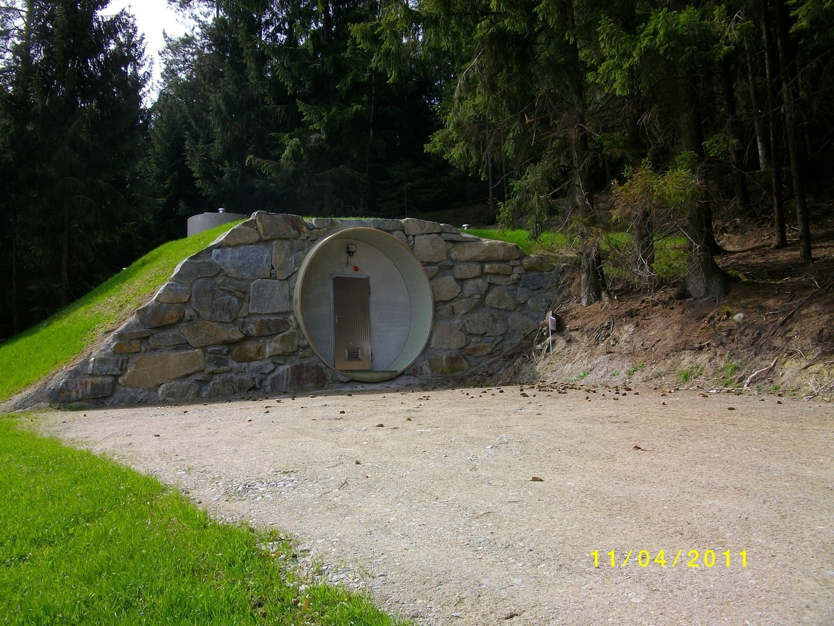 IMGP3808